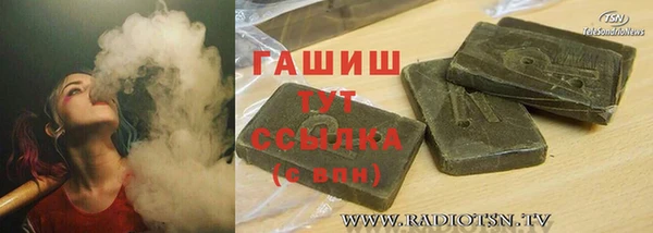 гашик Новозыбков