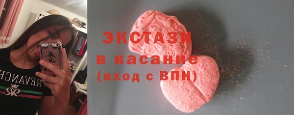 гашик Новозыбков