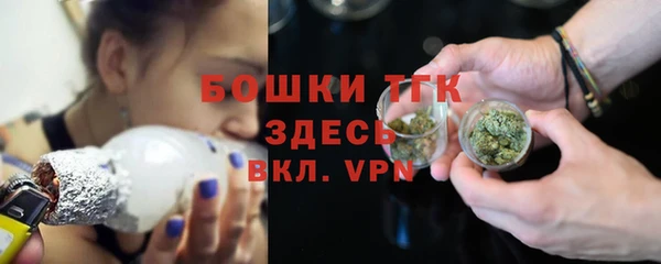 гашик Новозыбков