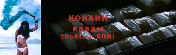 гашик Новозыбков