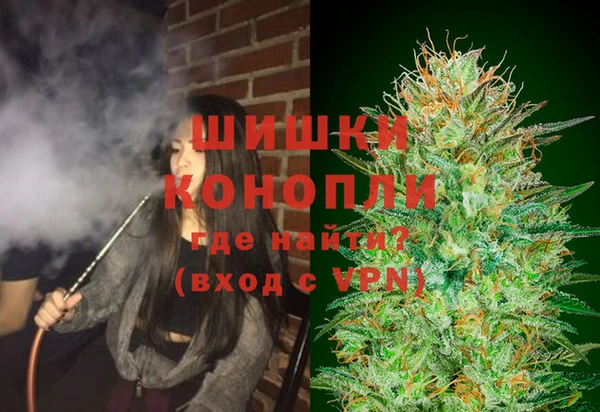 ПСИЛОЦИБИНОВЫЕ ГРИБЫ Видное