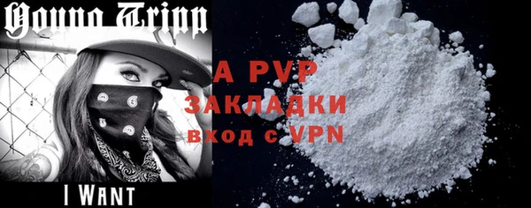 трава Няндома