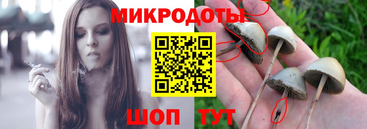 Псилоцибиновые грибы прущие грибы  Вход с VPN  Уварово  Псилоцибиновые грибы Cubensis 